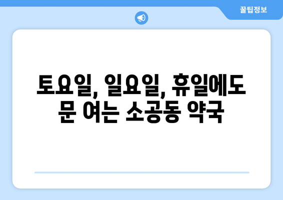 서울시 중구 소공동 24시간 토요일 일요일 휴일 공휴일 야간 약국