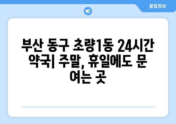 부산시 동구 초량1동 24시간 토요일 일요일 휴일 공휴일 야간 약국