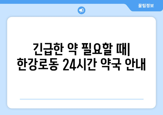 서울시 용산구 한강로동 24시간 토요일 일요일 휴일 공휴일 야간 약국