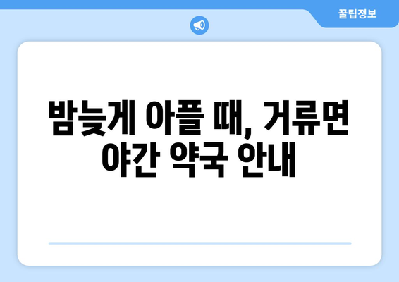 경상남도 고성군 거류면 24시간 토요일 일요일 휴일 공휴일 야간 약국