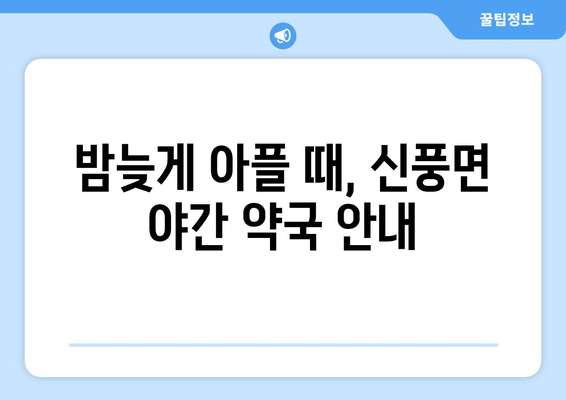 충청남도 공주시 신풍면 24시간 토요일 일요일 휴일 공휴일 야간 약국