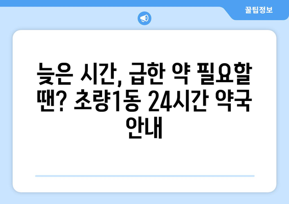 부산시 동구 초량1동 24시간 토요일 일요일 휴일 공휴일 야간 약국