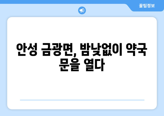 경기도 안성시 금광면 24시간 토요일 일요일 휴일 공휴일 야간 약국