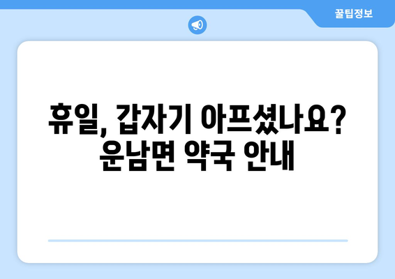 전라남도 무안군 운남면 24시간 토요일 일요일 휴일 공휴일 야간 약국