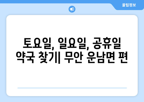 전라남도 무안군 운남면 24시간 토요일 일요일 휴일 공휴일 야간 약국