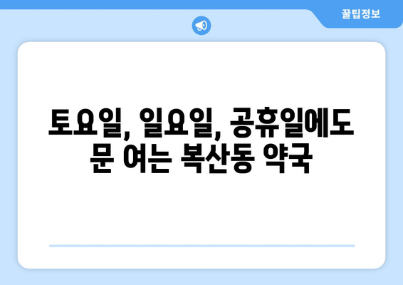 부산시 동래구 복산동 24시간 토요일 일요일 휴일 공휴일 야간 약국