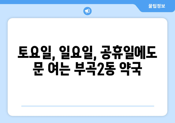 부산시 금정구 부곡2동 24시간 토요일 일요일 휴일 공휴일 야간 약국