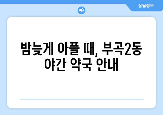 부산시 금정구 부곡2동 24시간 토요일 일요일 휴일 공휴일 야간 약국