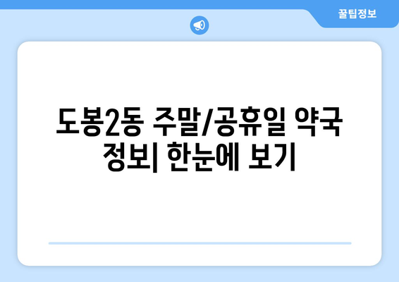 서울시 도봉구 도봉2동 24시간 토요일 일요일 휴일 공휴일 야간 약국