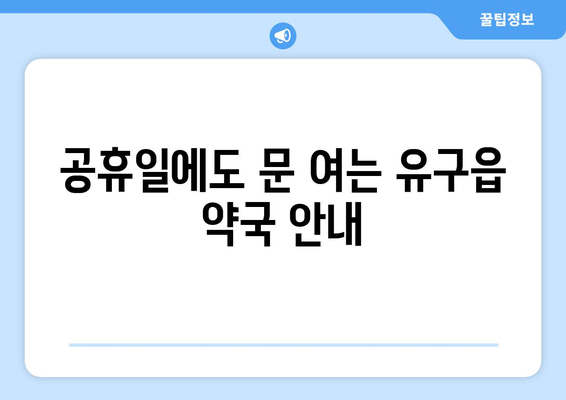 충청남도 공주시 유구읍 24시간 토요일 일요일 휴일 공휴일 야간 약국