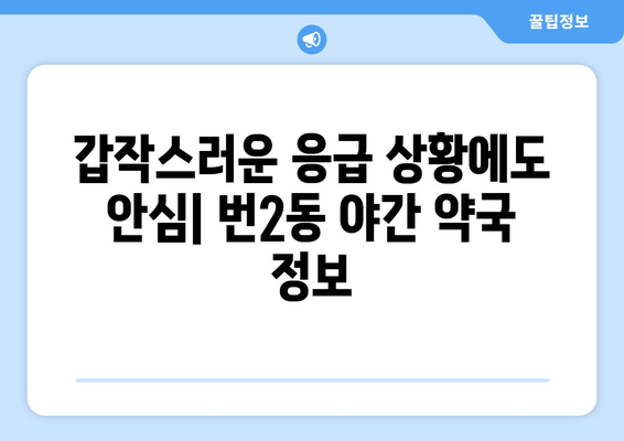 서울시 강북구 번2동 24시간 토요일 일요일 휴일 공휴일 야간 약국