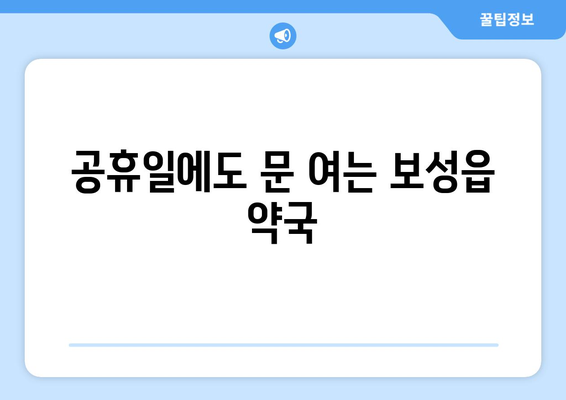 전라남도 보성군 보성읍 24시간 토요일 일요일 휴일 공휴일 야간 약국