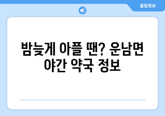 전라남도 무안군 운남면 24시간 토요일 일요일 휴일 공휴일 야간 약국