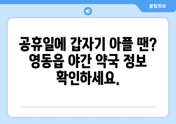 충청북도 영동군 영동읍 24시간 토요일 일요일 휴일 공휴일 야간 약국