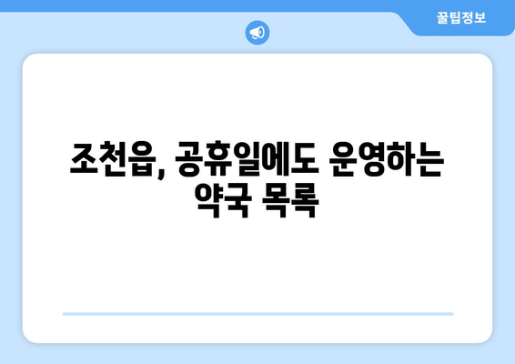 제주도 제주시 조천읍 24시간 토요일 일요일 휴일 공휴일 야간 약국