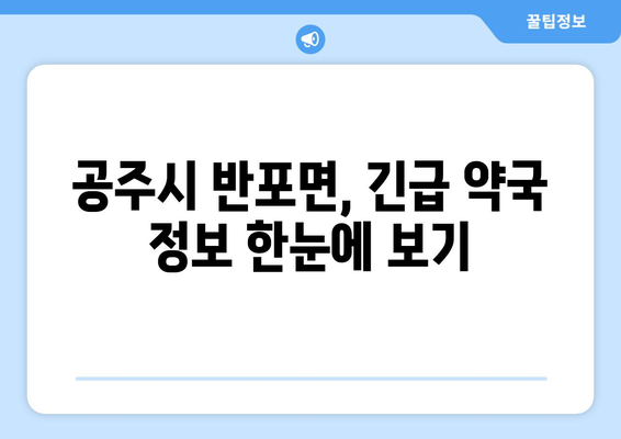 충청남도 공주시 반포면 24시간 토요일 일요일 휴일 공휴일 야간 약국