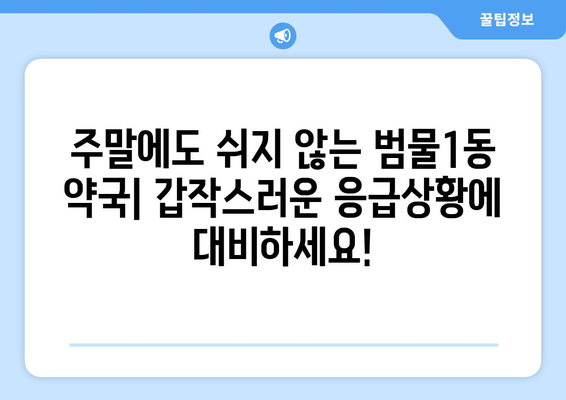 대구시 수성구 범물1동 24시간 토요일 일요일 휴일 공휴일 야간 약국