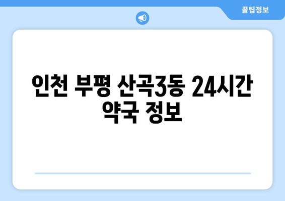 인천시 부평구 산곡3동 24시간 토요일 일요일 휴일 공휴일 야간 약국