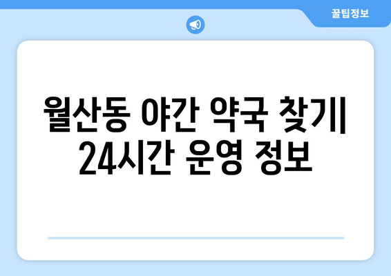 광주시 남구 월산동 24시간 토요일 일요일 휴일 공휴일 야간 약국