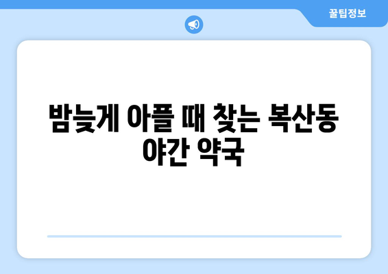 부산시 동래구 복산동 24시간 토요일 일요일 휴일 공휴일 야간 약국