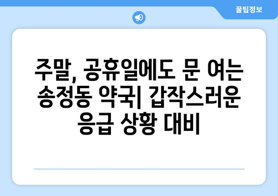 강원도 동해시 송정동 24시간 토요일 일요일 휴일 공휴일 야간 약국