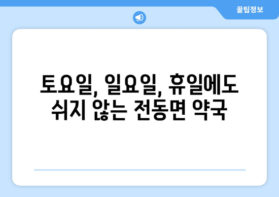 세종시 세종특별자치시 전동면 24시간 토요일 일요일 휴일 공휴일 야간 약국