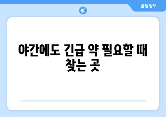 전라북도 진안군 진안읍 24시간 토요일 일요일 휴일 공휴일 야간 약국