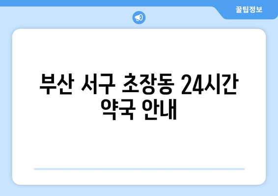 부산시 서구 초장동 24시간 토요일 일요일 휴일 공휴일 야간 약국