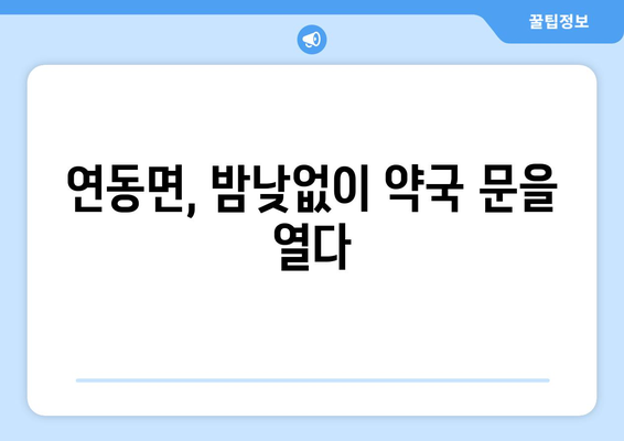 세종시 세종특별자치시 연동면 24시간 토요일 일요일 휴일 공휴일 야간 약국