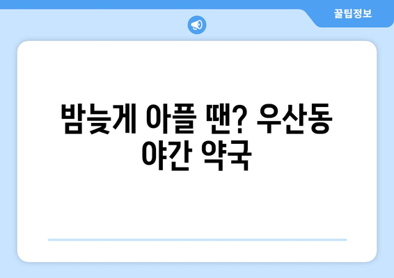 강원도 원주시 우산동 24시간 토요일 일요일 휴일 공휴일 야간 약국