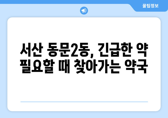 충청남도 서산시 동문2동 24시간 토요일 일요일 휴일 공휴일 야간 약국