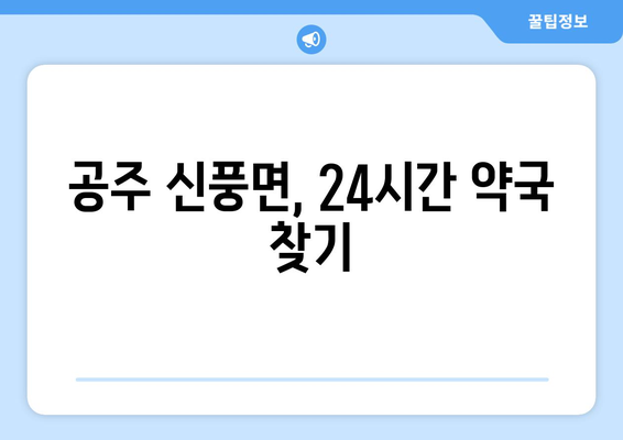 충청남도 공주시 신풍면 24시간 토요일 일요일 휴일 공휴일 야간 약국