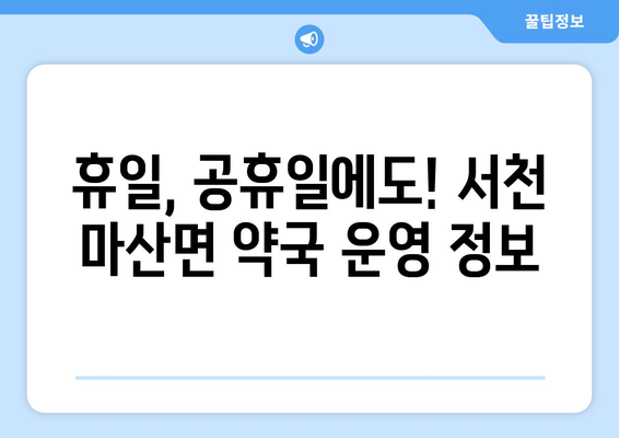 충청남도 서천군 마산면 24시간 토요일 일요일 휴일 공휴일 야간 약국