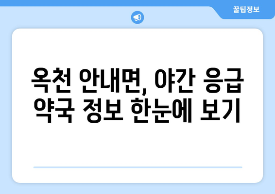 충청북도 옥천군 안내면 24시간 토요일 일요일 휴일 공휴일 야간 약국