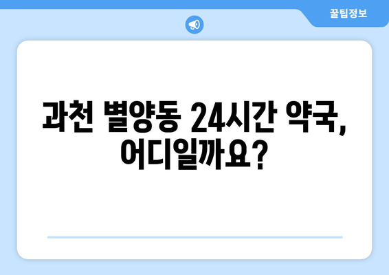 경기도 과천시 별양동 24시간 토요일 일요일 휴일 공휴일 야간 약국