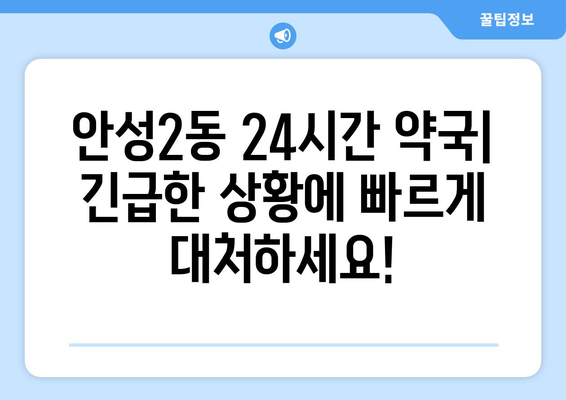 경기도 안성시 안성2동 24시간 토요일 일요일 휴일 공휴일 야간 약국