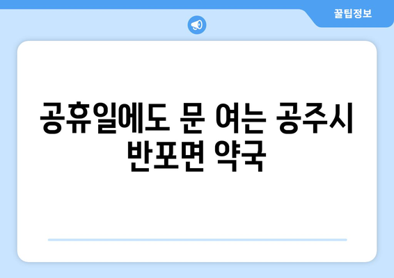 충청남도 공주시 반포면 24시간 토요일 일요일 휴일 공휴일 야간 약국