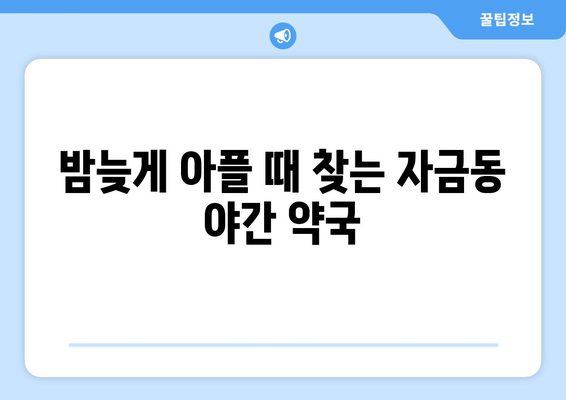 경기도 의정부시 자금동 24시간 토요일 일요일 휴일 공휴일 야간 약국