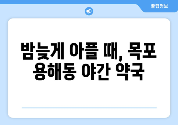 전라남도 목포시 용해동 24시간 토요일 일요일 휴일 공휴일 야간 약국