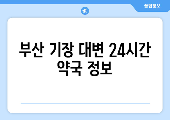 부산시 기장군 대변면 24시간 토요일 일요일 휴일 공휴일 야간 약국