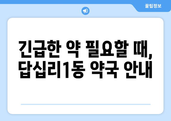 서울시 동대문구 답십리제1동 24시간 토요일 일요일 휴일 공휴일 야간 약국