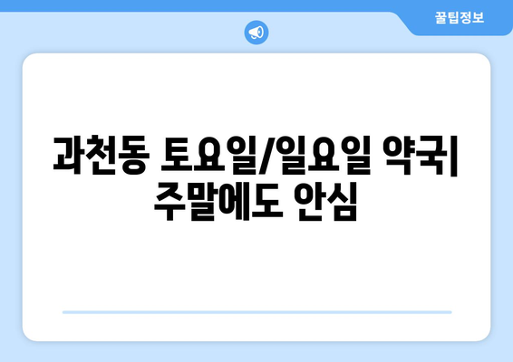 경기도 과천시 과천동 24시간 토요일 일요일 휴일 공휴일 야간 약국