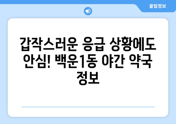 광주시 남구 백운1동 24시간 토요일 일요일 휴일 공휴일 야간 약국