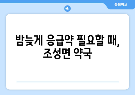 전라남도 보성군 조성면 24시간 토요일 일요일 휴일 공휴일 야간 약국