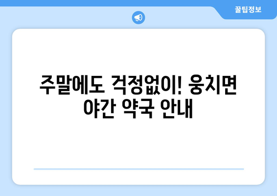 전라남도 보성군 웅치면 24시간 토요일 일요일 휴일 공휴일 야간 약국