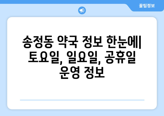 강원도 동해시 송정동 24시간 토요일 일요일 휴일 공휴일 야간 약국