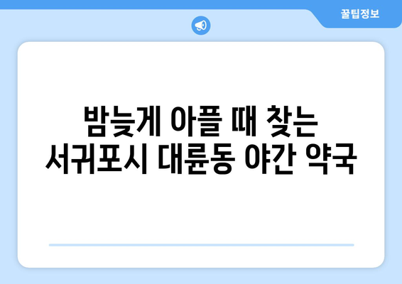 제주도 서귀포시 대륜동 24시간 토요일 일요일 휴일 공휴일 야간 약국