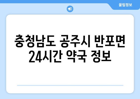 충청남도 공주시 반포면 24시간 토요일 일요일 휴일 공휴일 야간 약국