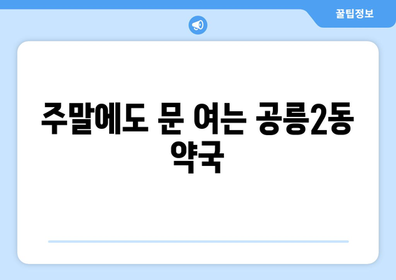 서울시 노원구 공릉2동 24시간 토요일 일요일 휴일 공휴일 야간 약국