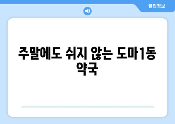 대전시 서구 도마1동 24시간 토요일 일요일 휴일 공휴일 야간 약국